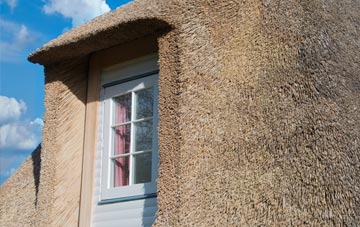 Maiden Law thatch roof disadvantages